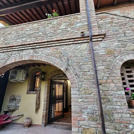 Viola - Azienda Agricola Sotto Il Masso