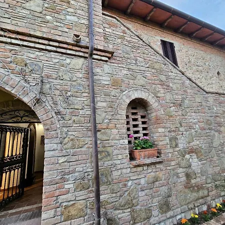 Viola - Azienda Agricola Sotto Il Masso チェルタルド