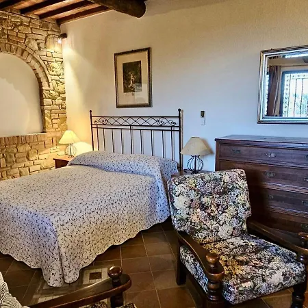 Viola - Azienda Agricola Sotto Il Masso * Certaldo